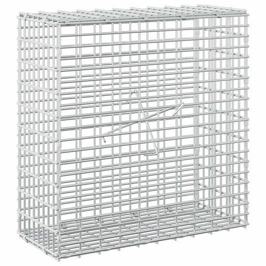 Gabion with 3.5 mm Wire and 5x2.5 cm Mesh 50x20x50 cm