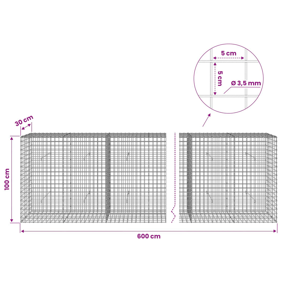 Gabion with 3.5 mm Wire and 5x5 cm Mesh 600x30x100 cm