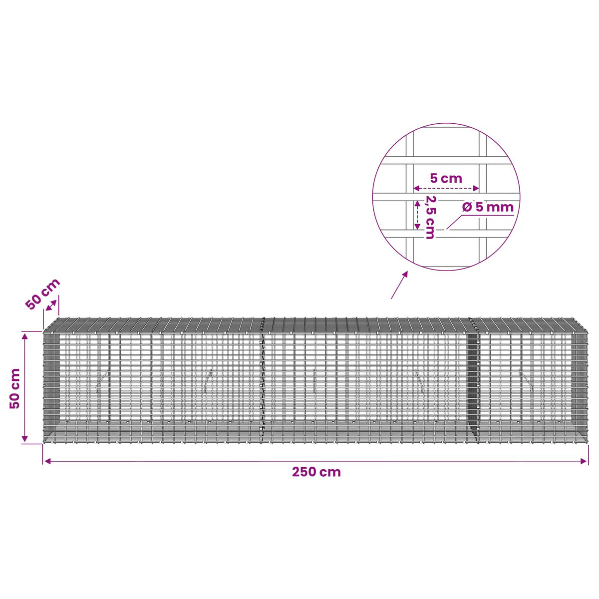 Gabion with 5 mm Wire and 5x2.5 cm Mesh 250x50x50 cm