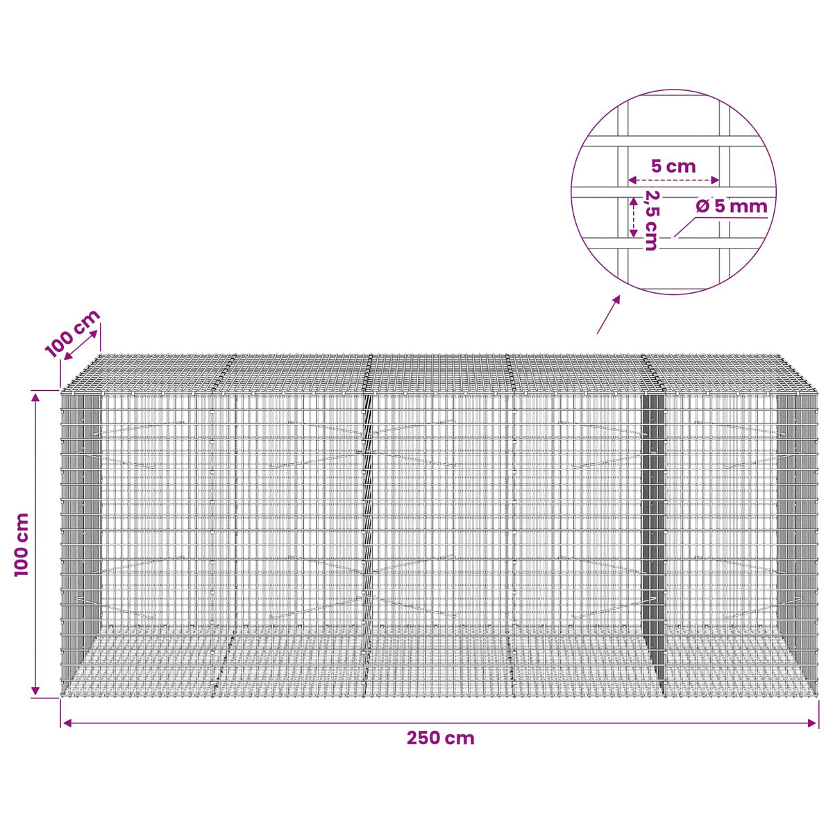Gabion with 5 mm Wire and 5x2.5 cm Mesh 300x100x100 cm