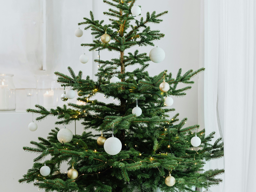 Christmas trees