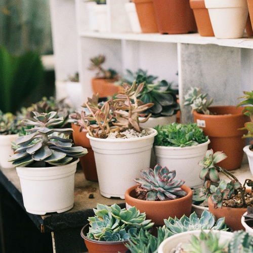 Garden Planters