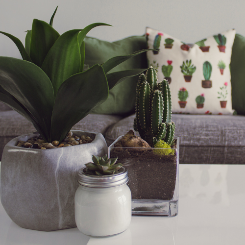 Home Decor