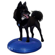 Pet Balance Disc 56 cm Blue