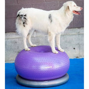 Pet Balance Ball TRAX Donut 55 cm Purple