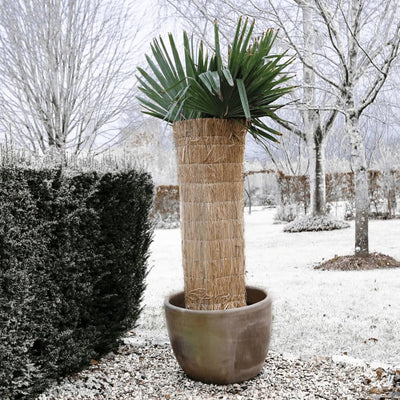 Winter Protection Sheet Rice Straw 1x1.5 m  6030105