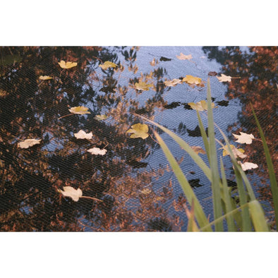 Pond Cover Net PE 3x2 m