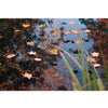 Pond Cover Net PE 4x6 m 1371344