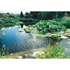 Natural Pond Filter Material ZeoLith Plus 4-8mm 2.5L