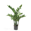 Artificial Zamioculcas 70 cm
