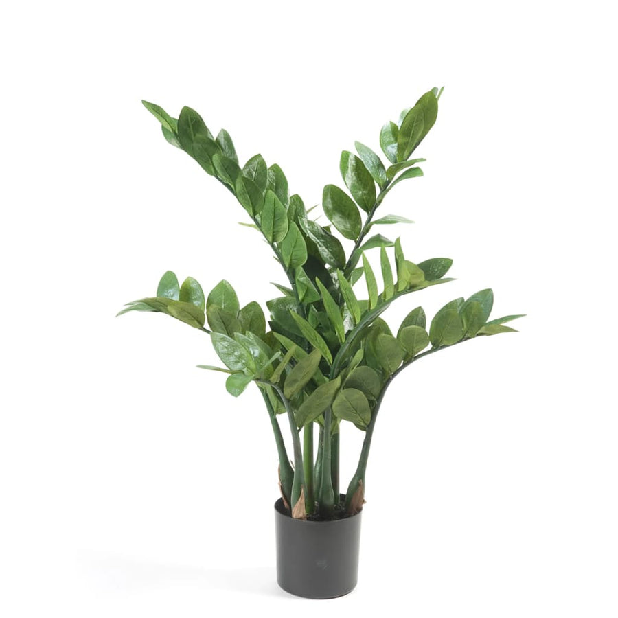 Artificial Zamioculcas 70 cm