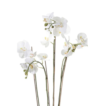 Emerald Artificial Phalaenopsis with Moss White 90 cm 20.355