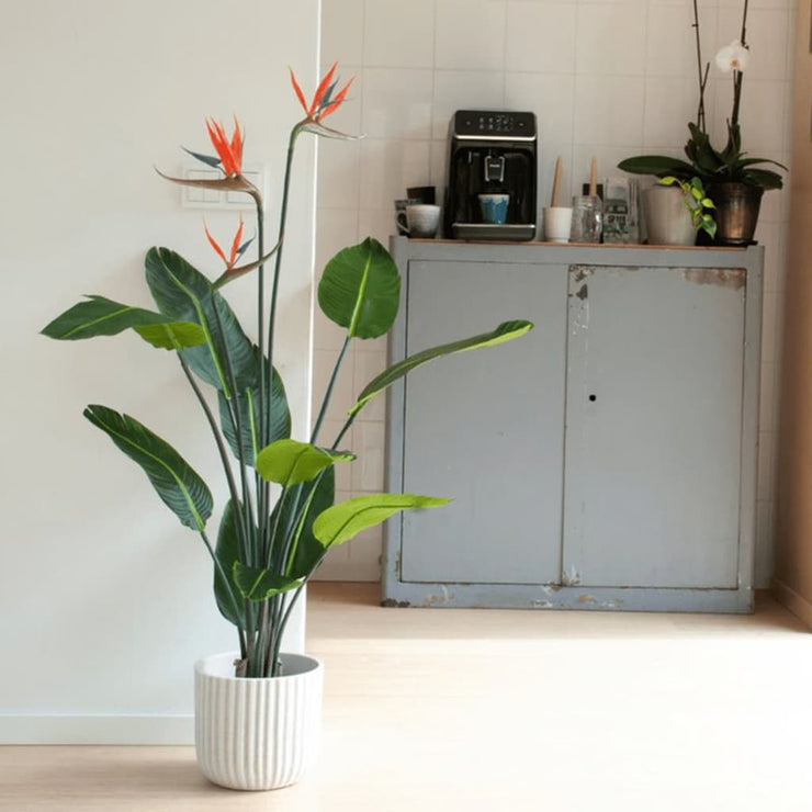 Artificial Plant Strelitzia in Pot with Flowers 120 cm