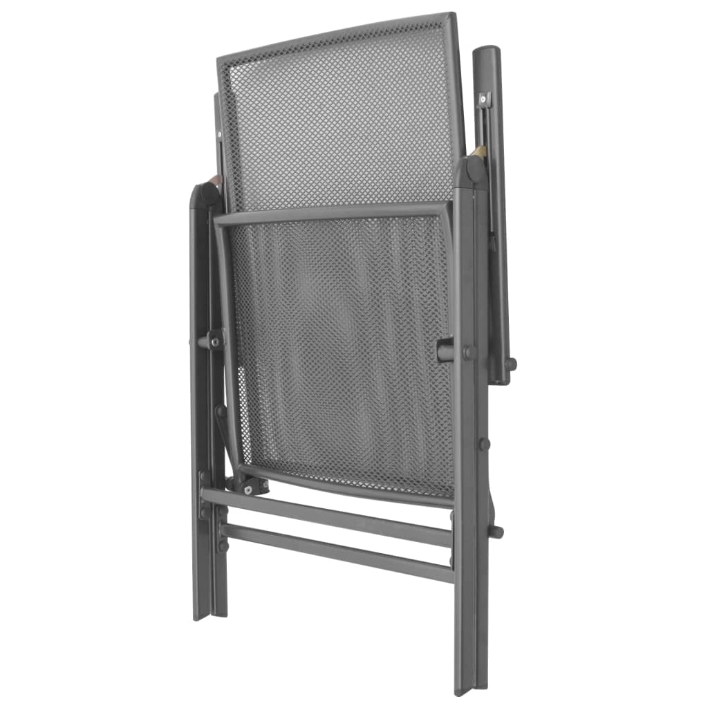 Reclining Chair Set of 2 Anthracite E-coated, powder-coated steel
