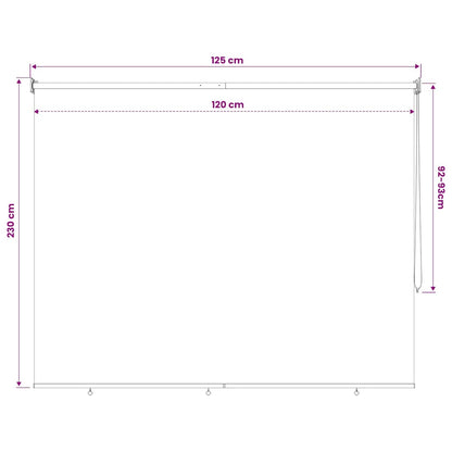 Outdoor Roller Blind 125(W)x230(H) cm Beige