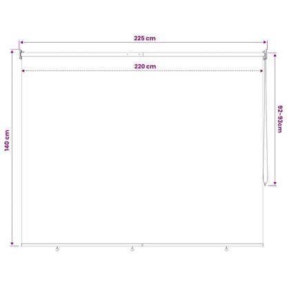 Outdoor Roller Blind 225(W)x140(H) cm Cream