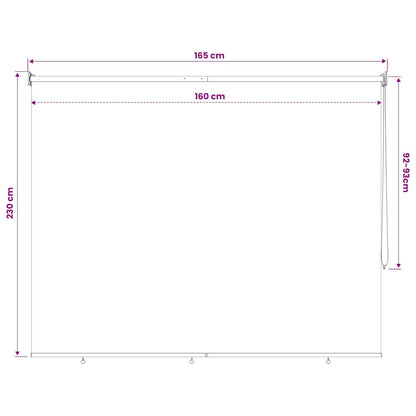 Outdoor Roller Blind 165(W)x230(H) cm Cream