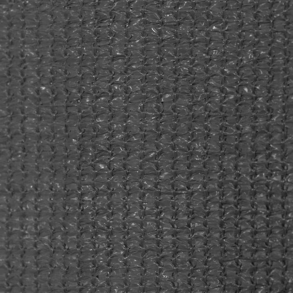 Outdoor Roller Blind 205(W)x140(H) cm Anthracite