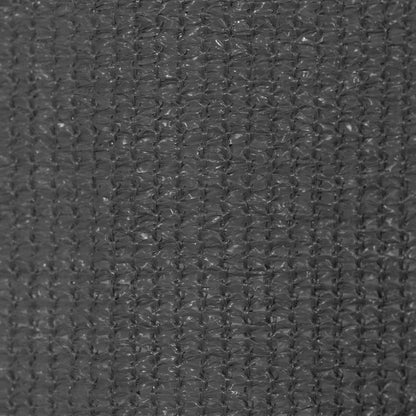 Outdoor Roller Blind 205(W)x140(H) cm Anthracite