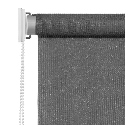 Outdoor Roller Blind 100x230 cm Anthracite