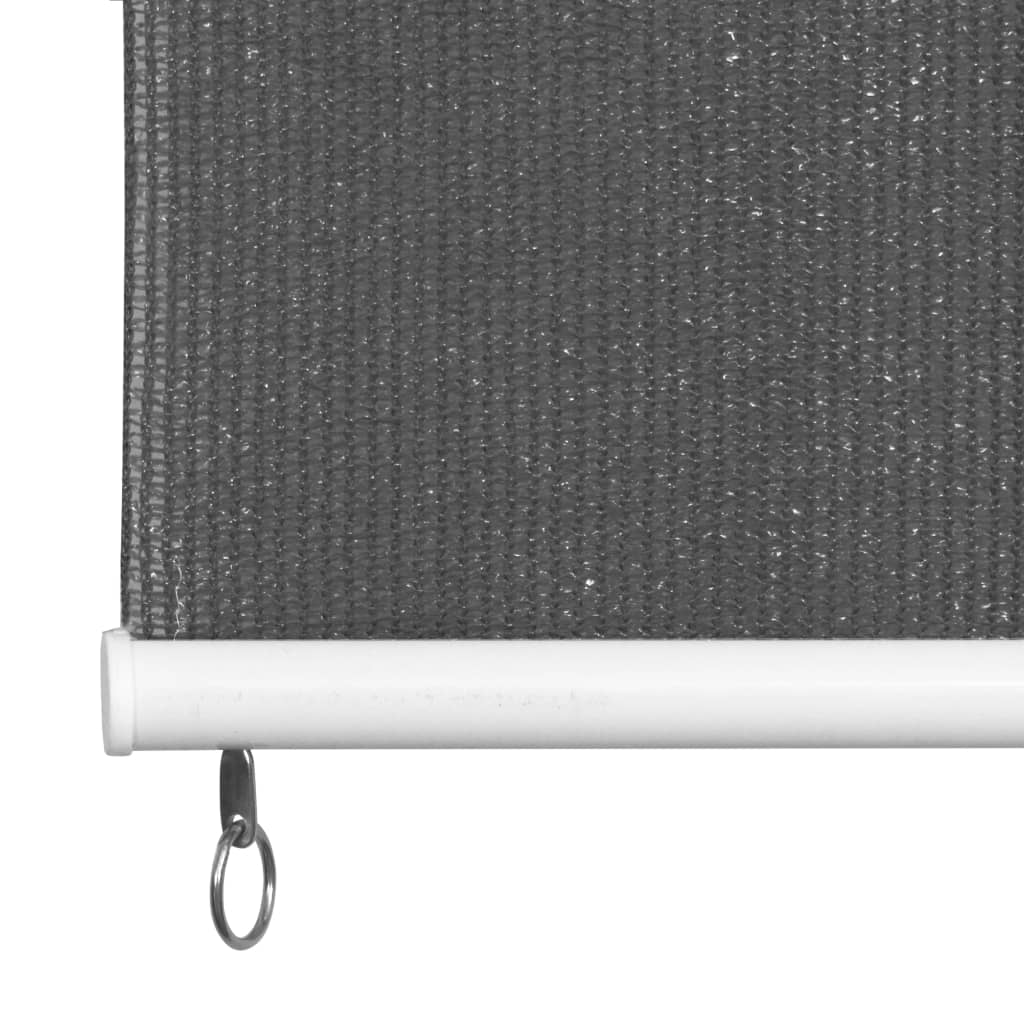 Outdoor Roller Blind 100x230 cm Anthracite