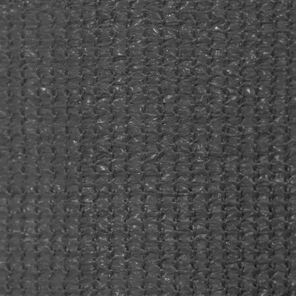 Outdoor Roller Blind 100x230 cm Anthracite