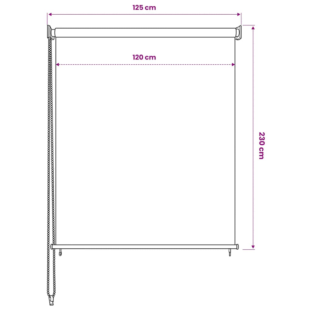 Outdoor Roller Blind 125(W)x230(H) cm Anthracite