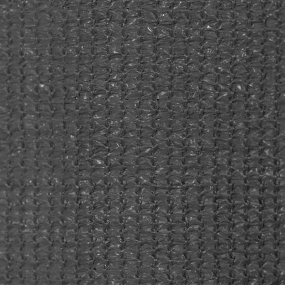 Outdoor Roller Blind 400x230 cm Anthracite