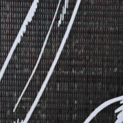 Folding Room Divider 160x170 cm Feathers Black and White