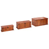 Storage Chests 3 pcs Solid Acacia Wood