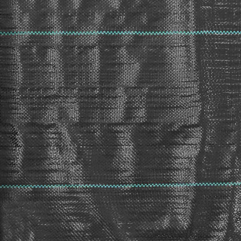 Weed & Root Control Mat PP 2x150 m Black
