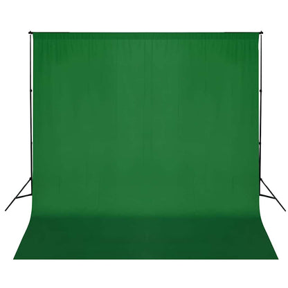 160060 vidaXL Backdrop Support System 600x300 cm Green