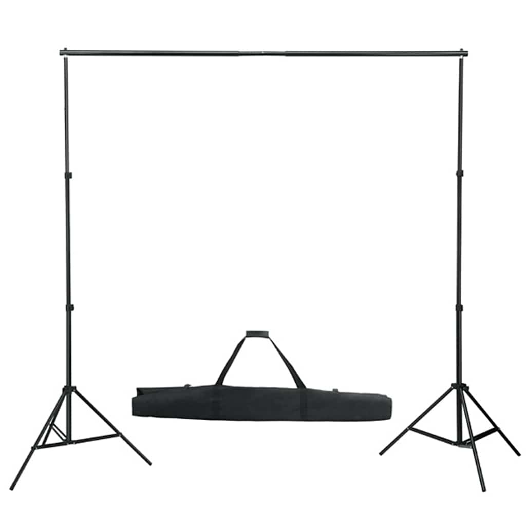 160060 vidaXL Backdrop Support System 600x300 cm Green