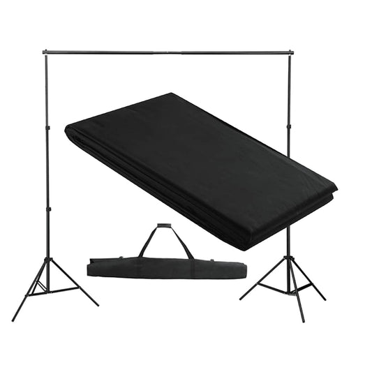 160067 vidaXL Backdrop Support System 300 x 300 cm Black