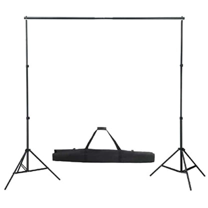 160068 vidaXL Backdrop Support System 300 x 300 cm White