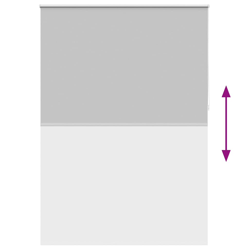 Roller blind blackout 164.4x230 cm Fabric Width 160 cm grey