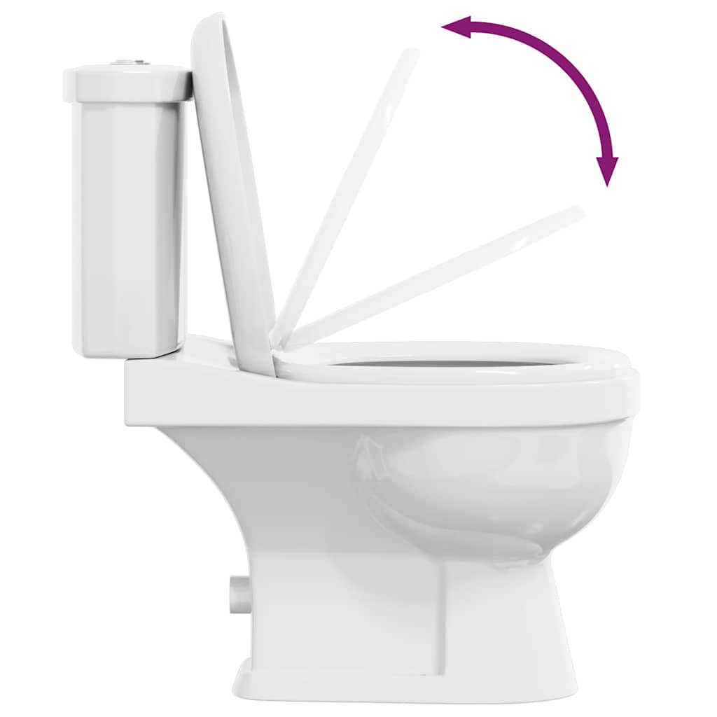 Toilet With Cistern White