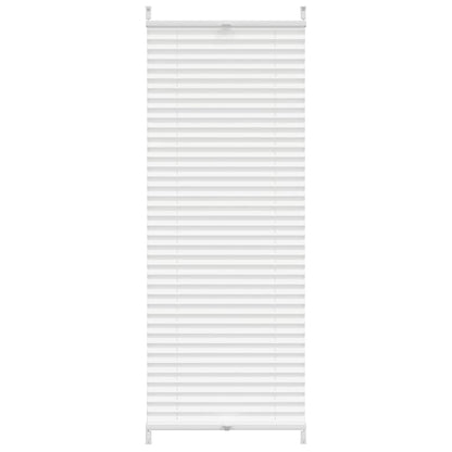 Plisse Blind 60x100cm White Pleated Blind