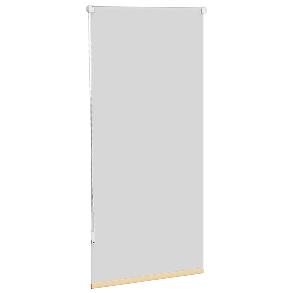 Roller Blind Blackout 64.4x120 cm Fabric Width 60 cm Beige