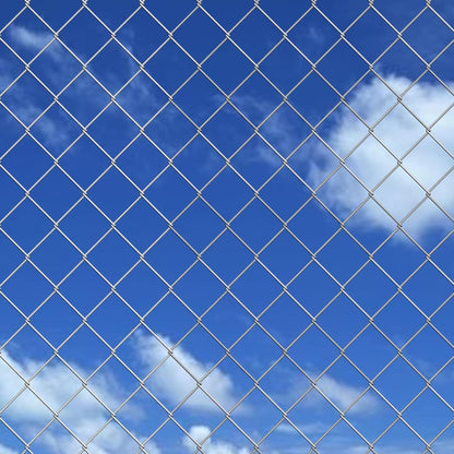 Chain Link Fence Galvanised Steel 25x1 m Silver