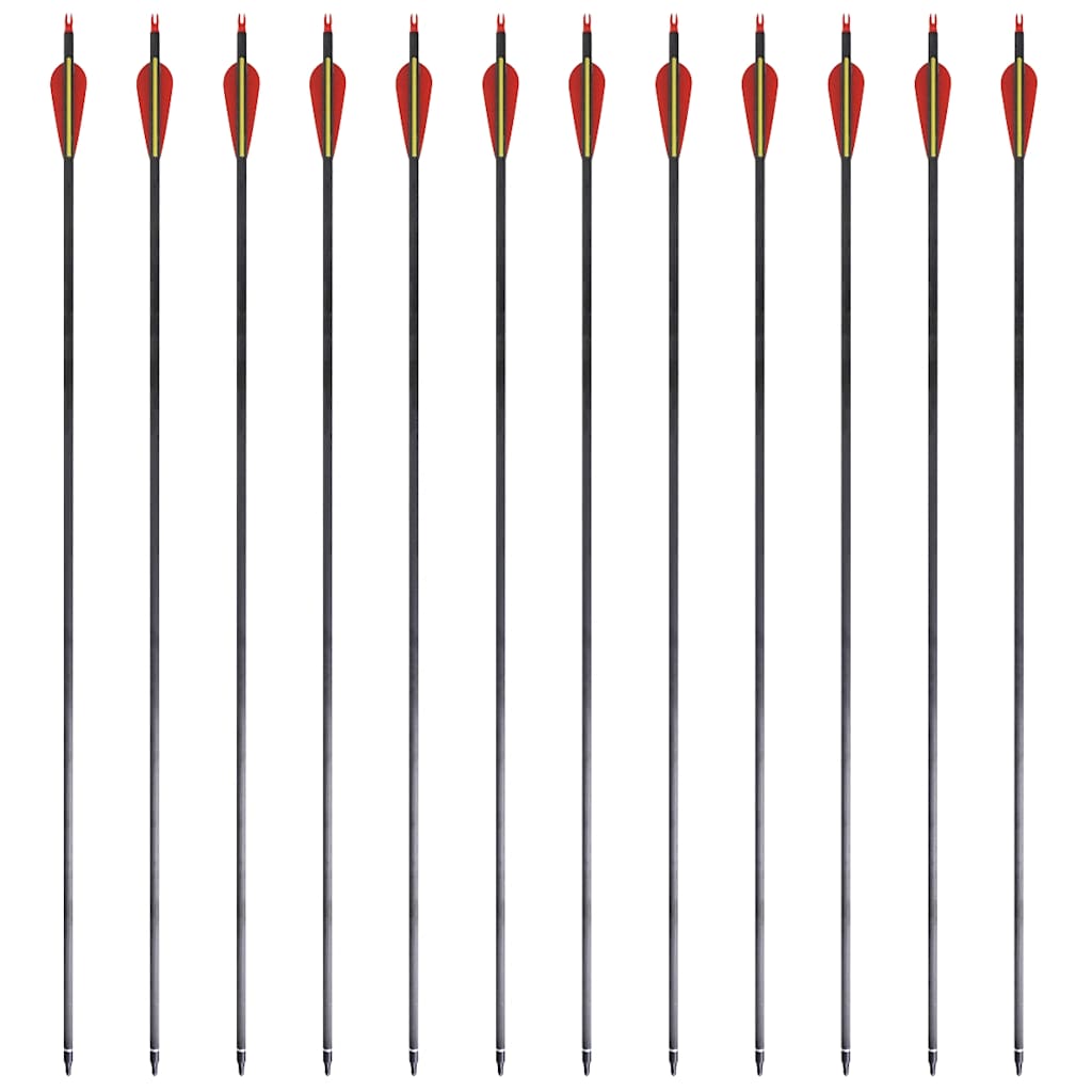 Standard Recurve Bow Arrows 30" 0.76 cm Carbon 12 pcs