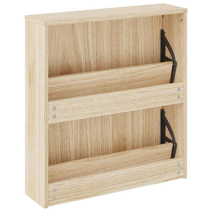 Shoe Cabinet 2-Layer Mirror Oak 63x17x67 cm