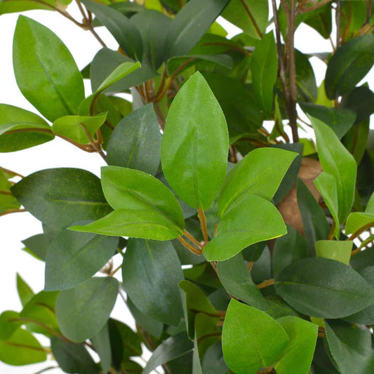 Artificial Plant | Green | Polyester | 150 cm | Decorative Inlays