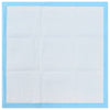 Pet Training Pads 200 pcs 60x60 cm Non Woven Fabric