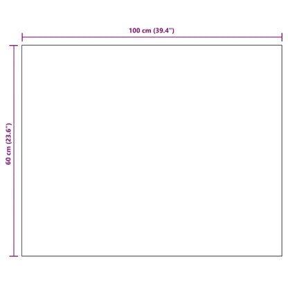 Frameless Mirror 100x60 cm Glass