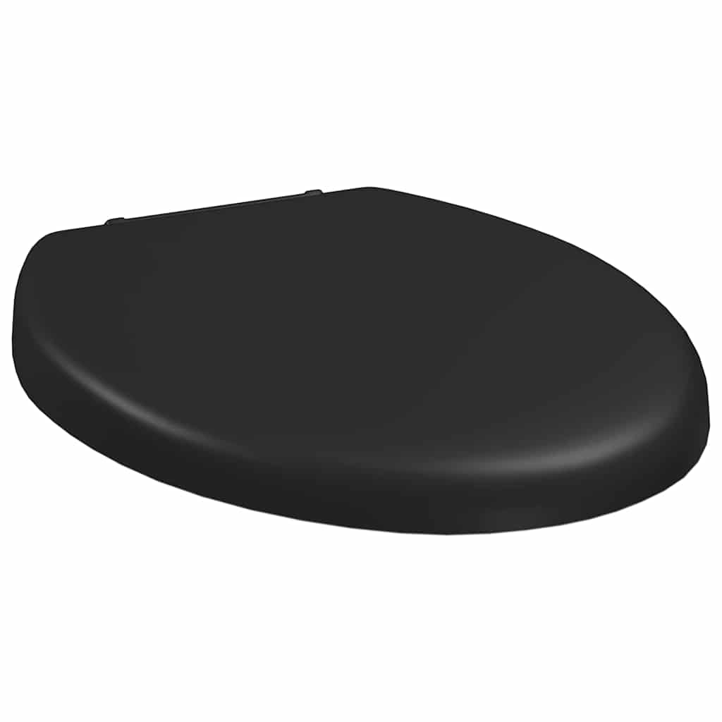 Soft-close Toilet Seat with Quick-release Design Black