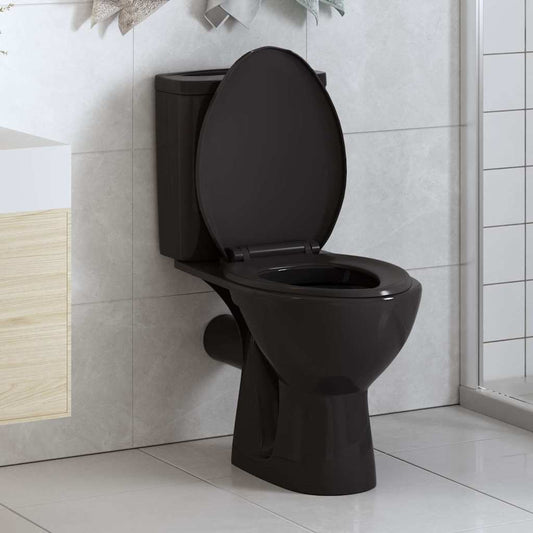Soft-close Toilet Seat with Quick-release Design Black