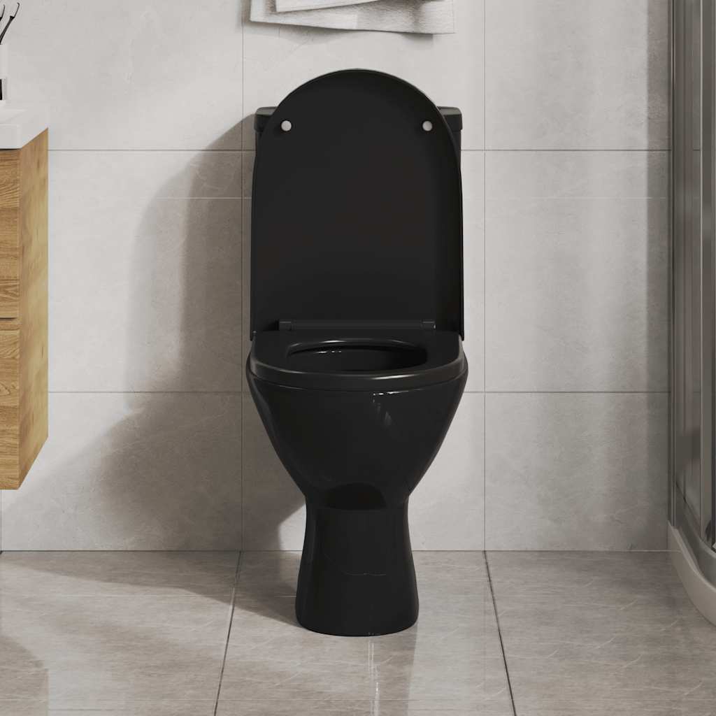 Soft-close Toilet Seat with Quick-release Design Black