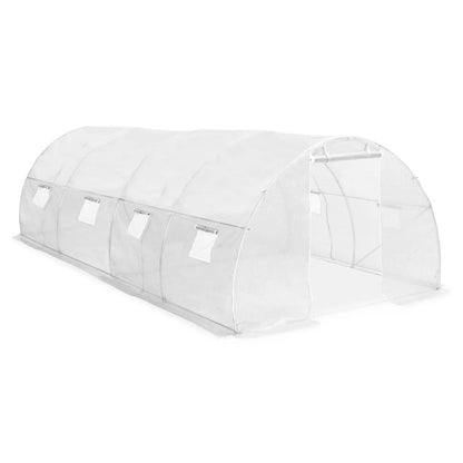 Greenhouse 193.8 ft² 236.2"x118.1"x78.7