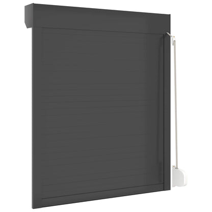 Roller Shutter Manual Anthracite 100 x 120 cm